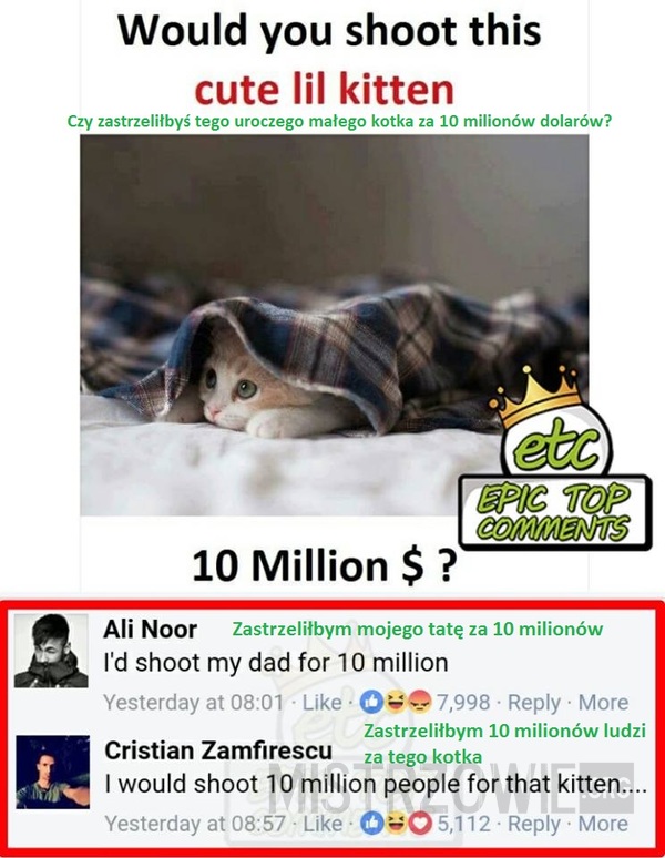 Czy zastrzeliłbyś tego uroczego małego kotka za 10 milionów dolarów? –  