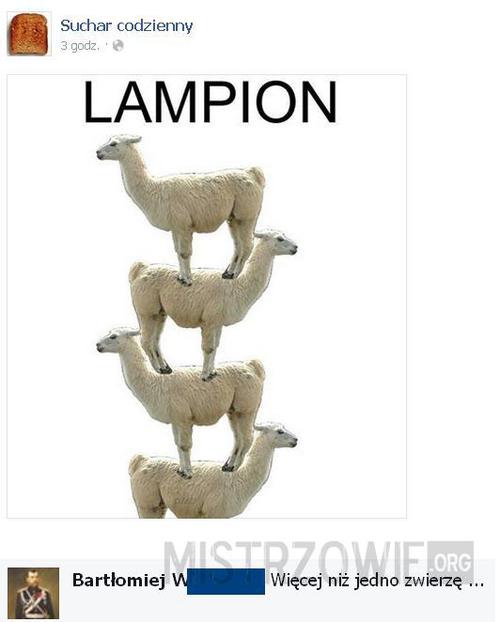 Lampion