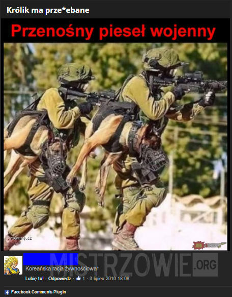 Psy Wojny