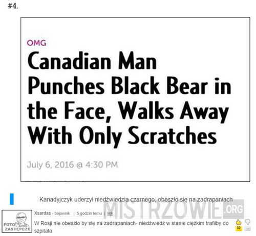 Mężczyzna uderzył niedźwiedzia
