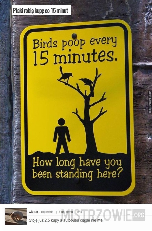 Ptaki robią kupę co 15 minut