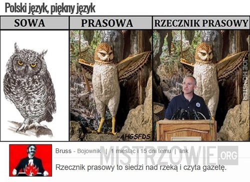 Polski język, piękny język