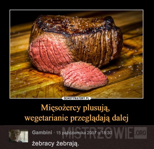 Mięsożercy i wegetarianie