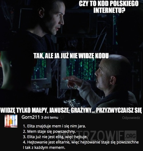 Kod polskiego internetu
