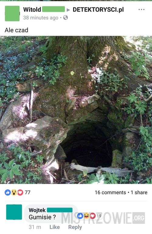 Dziura w lesie
