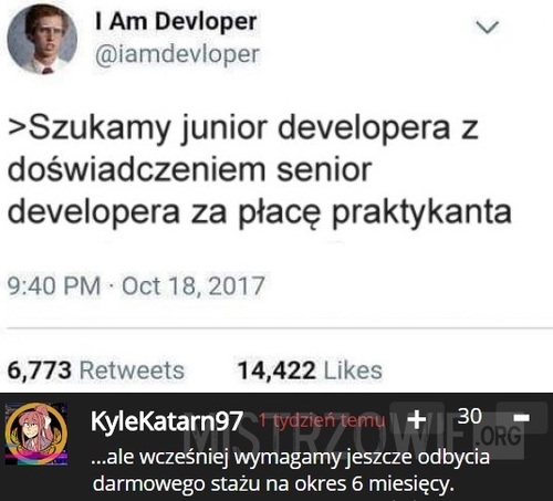 Junior developer