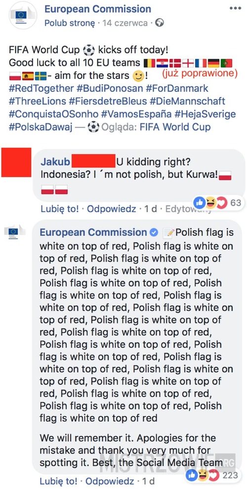 Komisja Europejska vs polska flaga