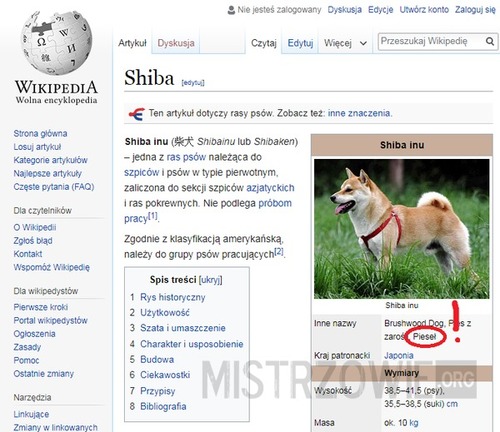 Doge na Wikipedii