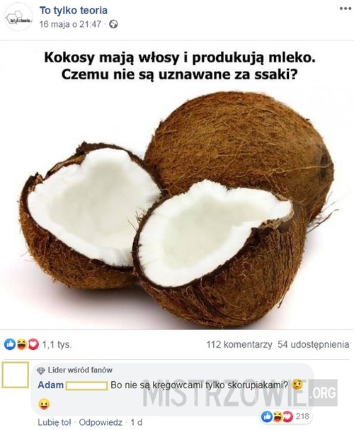 Kokosy