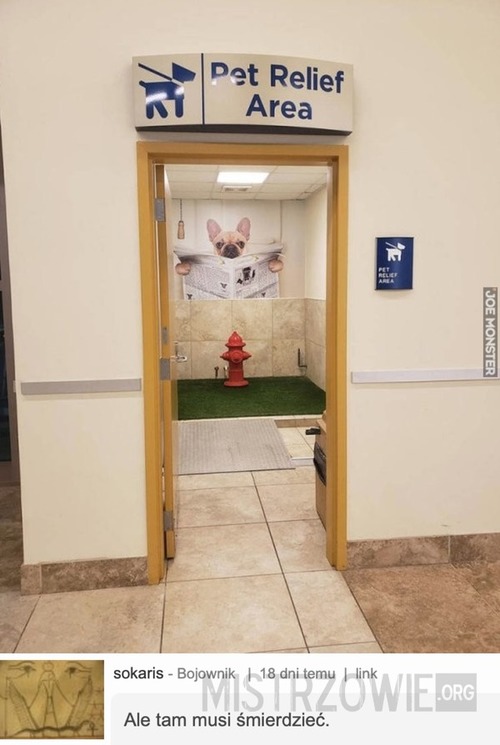 Toaleta dla psów