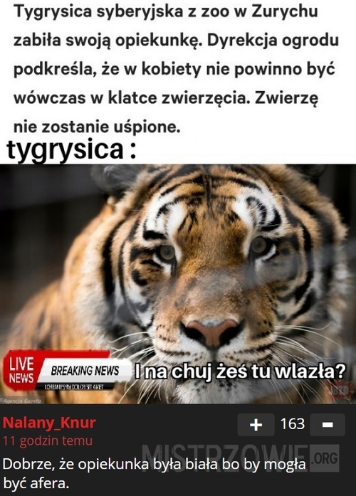 Tygrysica