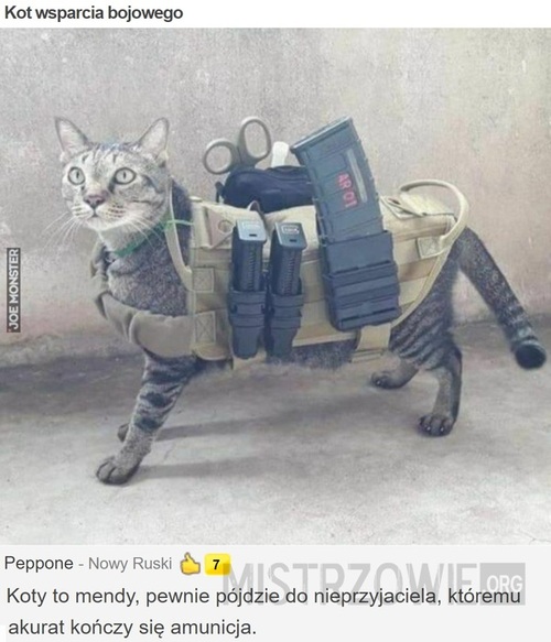 Kot wsparcia bojowego